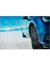 TOYO Observe G3-ICE 225/55R19 99T