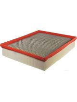 FILTRON AP 004/5 Фильтр воздушный