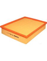 FILTRON AP 063/1 Фильтр воздушный