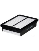 FILTRON AP 197/5 Фильтр воздушный