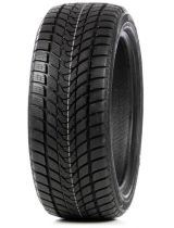 Delinte Winter WD1 235/45R17 97T