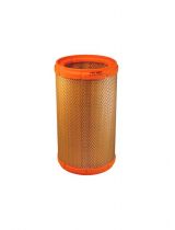 FILTRON AR 348/1 Фильтр воздушный
