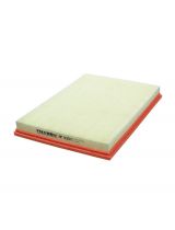 FILTRON AP 030/1 Фильтр воздушный