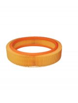 FILTRON AR 202 Фильтр воздушный