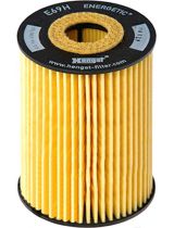 Hengst E69HD81 Фильтр масляный