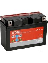 FIAMM Аккумулятор 7904481 рус (8 А/ч) 110A