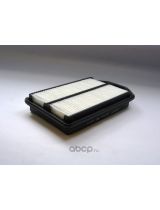 BIG Filter GB-951 Фильтр воздушный