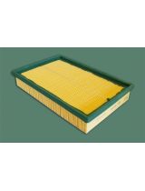 BIG Filter GB-9546 Фильтр воздушный