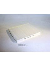 BIG Filter GB-9994 Фильтр салонный (без рамки)