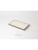 BIG Filter GB-9831 Фильтр салонный (рамка)