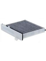 BIG Filter GB-9965/C Фильтр салонный (рамка)