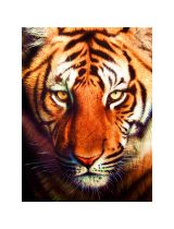 BIG Filter GB-205 Фильтр топливный