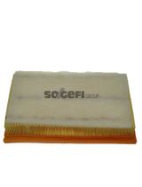 FRAM CA9022 Фильтр воздушный