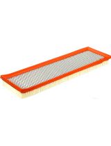 FRAM CA10085 Фильтр воздушный