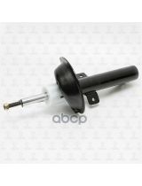 TORR DV1197 Амортизатор