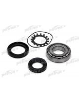 Patron PBK3950 Подшипник ступицы задний