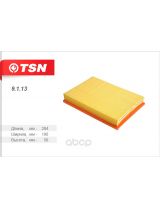 TSN 9.1.13 Фильтр воздушный