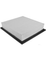 BLUE PRINT ADA102246 Фильтр воздушный