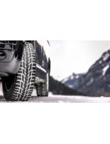 NOKIAN WR C3 205/65R16C 107/105T