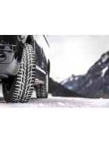 NOKIAN WR C3 205/65R15C 102/100T