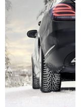 NOKIAN WR D4 205/55R16 91T