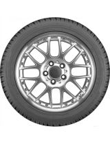 DUNLOP SP Winter Sport 3D 285/35R20 100V (run-flat)