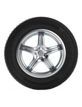 BFGoodrich Activan 235/65R16C 115/113R