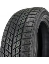 DoubleStar DW09 255/50R20 109H