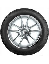 TIGAR SUV Winter 275/40R20 106V