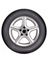 GOODYEAR EfficientGrip 205/50R17 89W (run-flat)