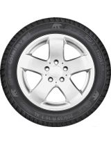 GISLAVED Soft*Frost 200 195/65R15 95T