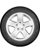 GISLAVED Euro*Frost Van 195/75R16C 107/105R