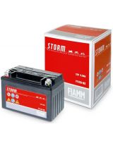 FIAMM FTX14-BS (12 А/ч)