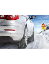 CONTINENTAL ContiWinterContact TS 830 P 205/60R16 96H