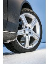 NOKIAN WR D4 215/60R16 99H