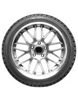 ROADSTONE Winguard Ice 205/60R16 92Q