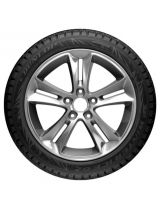 DUNLOP SP Winter Ice 02 225/50R17 98T