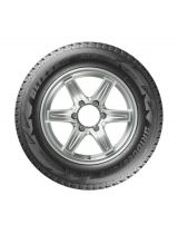 BRIDGESTONE Blizzak DM-V2 235/55R20 102T