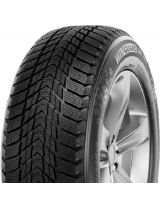 NEXEN Winguard Ice Plus 245/45R17 99T