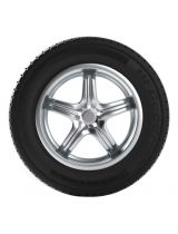 BFGoodrich Activan 215/75R16C 116/114R