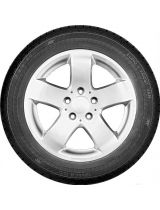GISLAVED Euro*Frost Van 195/65R16C 104/102T