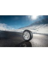 MICHELIN Alpin 5 205/50R16 87H