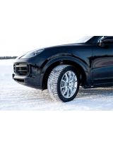 MICHELIN Pilot Alpin 5 SUV 255/55R18 109V