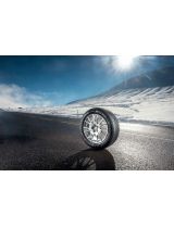 MICHELIN Alpin 5 205/60R16 92V (run-flat)