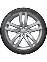 HANKOOK Winter i*cept evo2 W320 225/60R17 99H