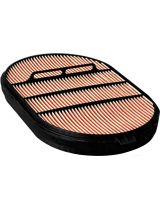 Donaldson P607557 Фильтр воздушный