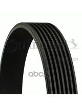 CONTITECH 7PK1113 Ремень поликлиновой