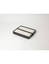 BIG Filter GB-9961 Фильтр воздушный