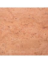 Purflux CP100 Фильтр топливный для двс