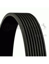 CONTITECH 8PK2465 Ремень поликлиновой